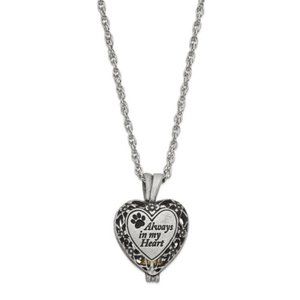 Always In My Heart Pet Memorial Ash Holder Locket Necklace